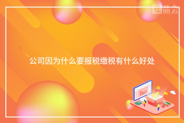 公司因为什么要报税缴税有什么好处