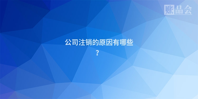 公司注销的原因有哪些？