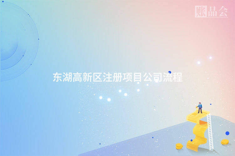东湖高新区注册项目公司流程