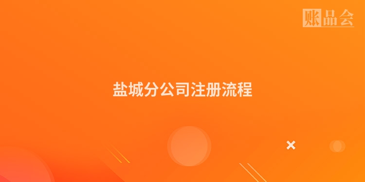 盐城分公司注册流程