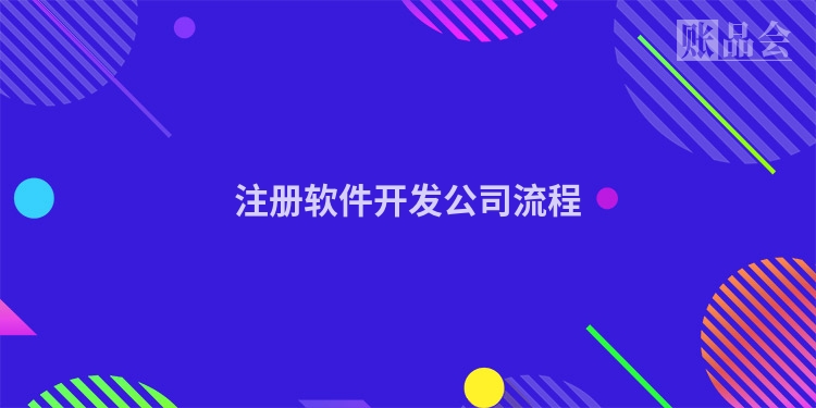 注册软件开发公司流程