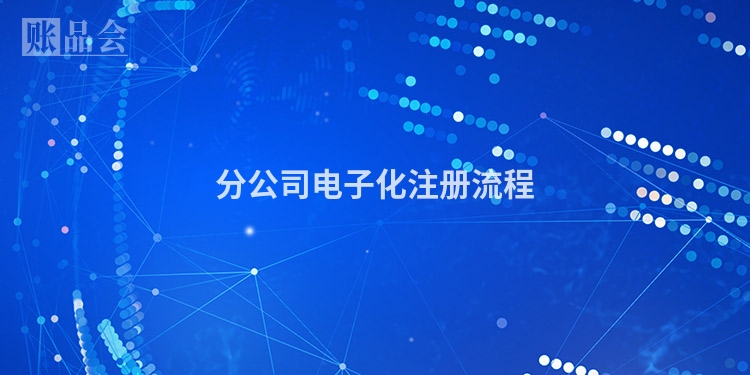 分公司电子化注册流程