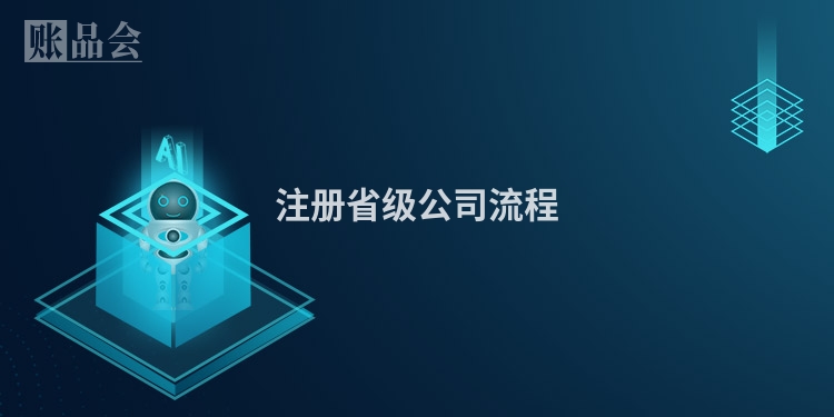 注册省级公司流程