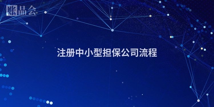 注册中小型担保公司流程